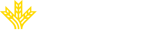 globalcaja logotipo